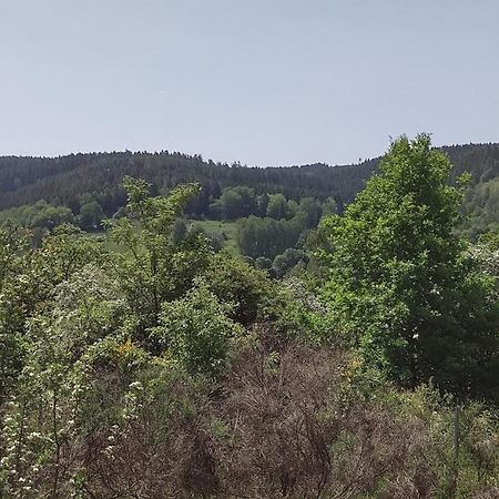 Sessles Waldhaeusschen Dietzhausen Suhl Exteriör bild