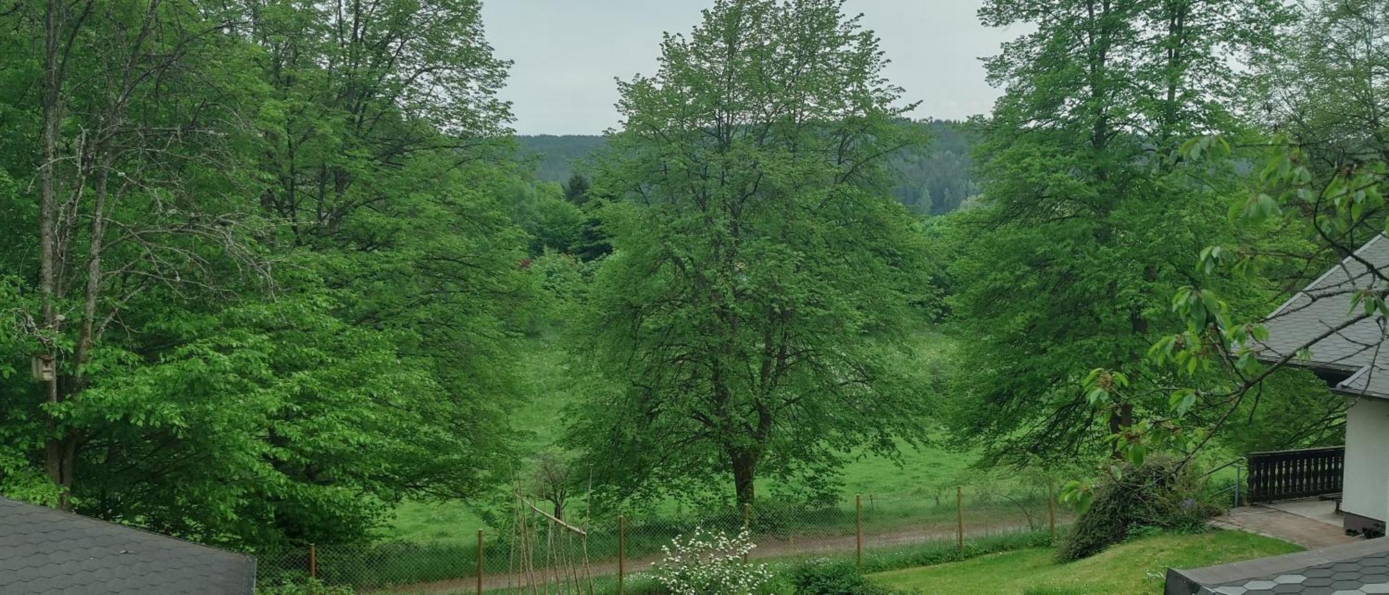 Sessles Waldhaeusschen Dietzhausen Suhl Exteriör bild