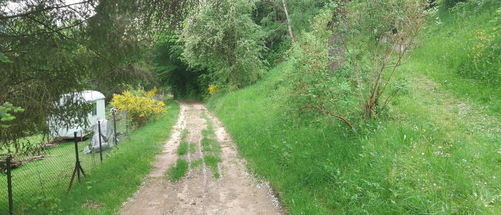 Sessles Waldhaeusschen Dietzhausen Suhl Exteriör bild