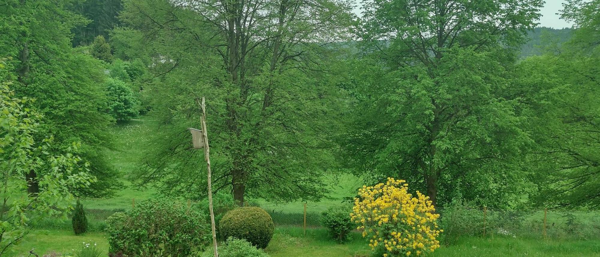 Sessles Waldhaeusschen Dietzhausen Suhl Exteriör bild